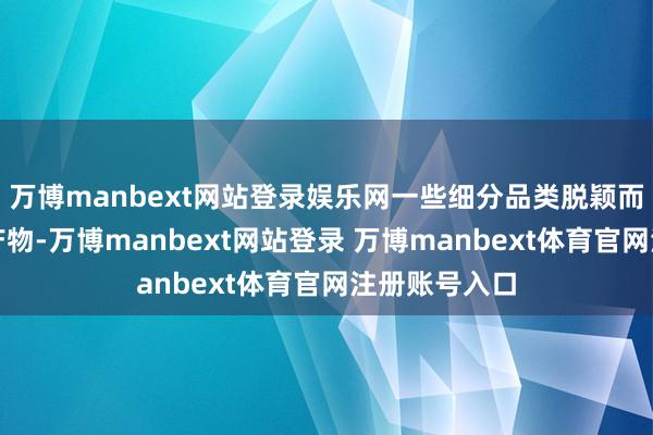 万博manbext网站登录娱乐网一些细分品类脱颖而出成为热销产物-万博manbext网站登录 万博manbext体育官网注册账号入口