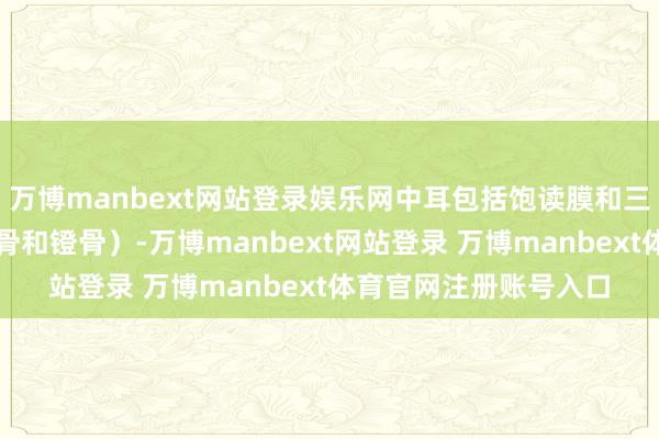 万博manbext网站登录娱乐网中耳包括饱读膜和三块小骨头（锤骨、砧骨和镫骨）-万博manbext网站登录 万博manbext体育官网注册账号入口