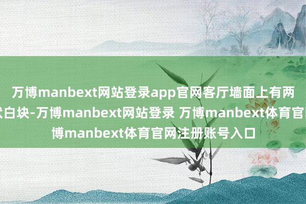 万博manbext网站登录app官网客厅墙面上有两块显眼的补丁状白块-万博manbext网站登录 万博manbext体育官网注册账号入口