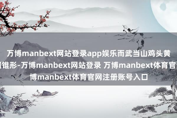 万博manbext网站登录app娱乐而武当山鸡头黄精则呈不规矩圆锥形-万博manbext网站登录 万博manbext体育官网注册账号入口