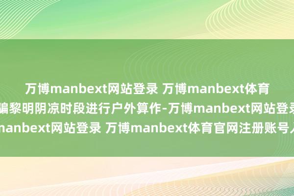 万博manbext网站登录 万博manbext体育官网注册账号入口可诈骗黎明阴凉时段进行户外算作-万博manbext网站登录 万博manbext体育官网注册账号入口