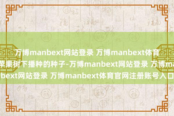万博manbext网站登录 万博manbext体育官网注册账号入口这棵苹果树下播种的种子-万博manbext网站登录 万博manbext体育官网注册账号入口